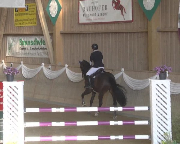 Reitturnier Friedrichshafen - Ailingen 2019