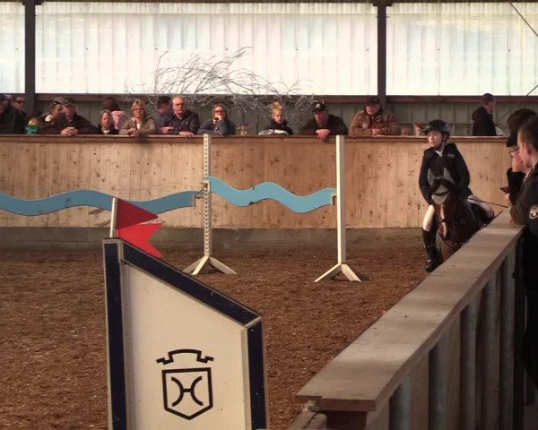 Reitturnier Damp-Dorotheental 2019