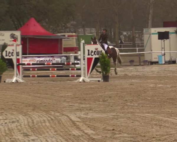 Reitturnier Bottrop 2019