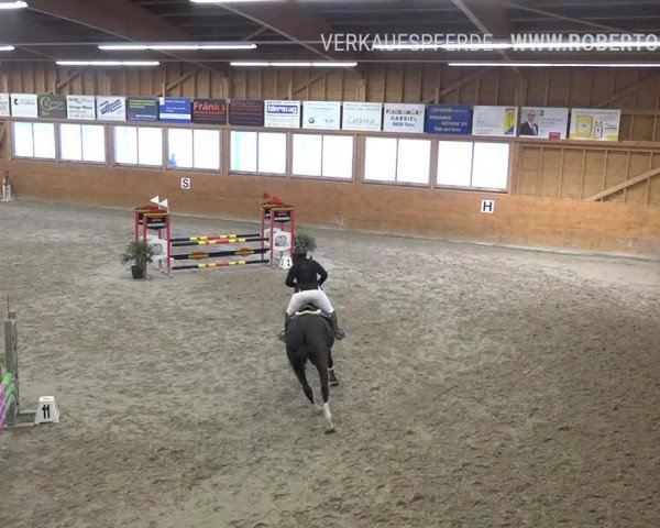 Reitturnier Rüti 2019