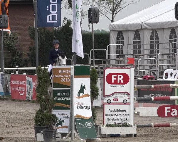 Reitturnier Werne-Lenklar 2019