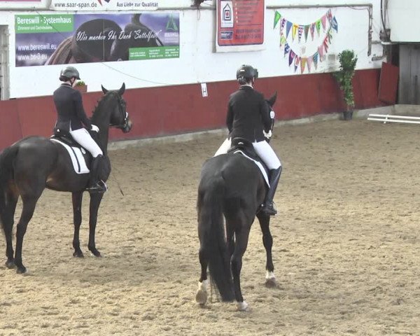 Reitturnier Neunkirchen-Furpach 2019