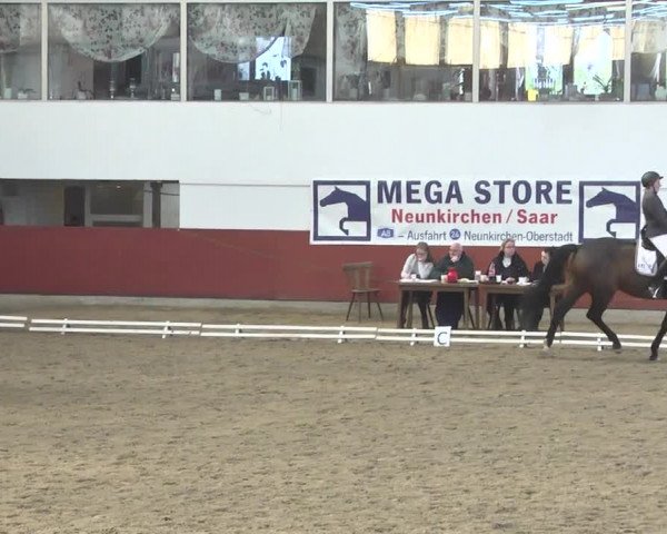 Reitturnier Neunkirchen-Furpach 2019