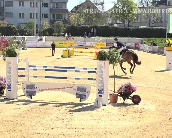 Osterspringen Amriswil 2019