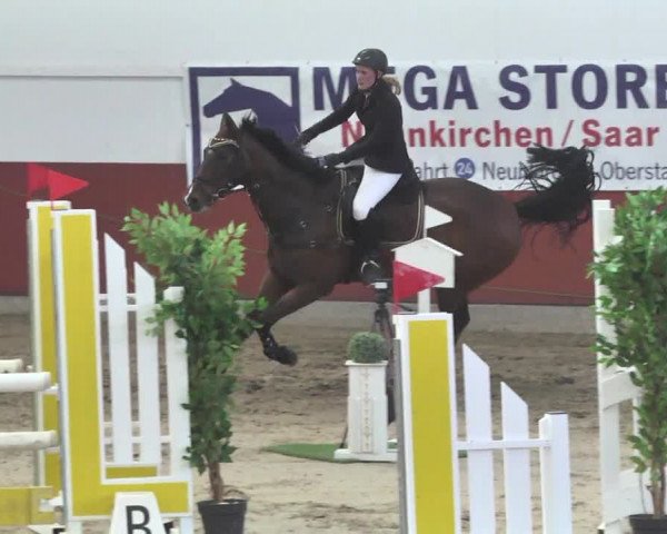 Reitturnier Neunkirchen-Furpach 2019