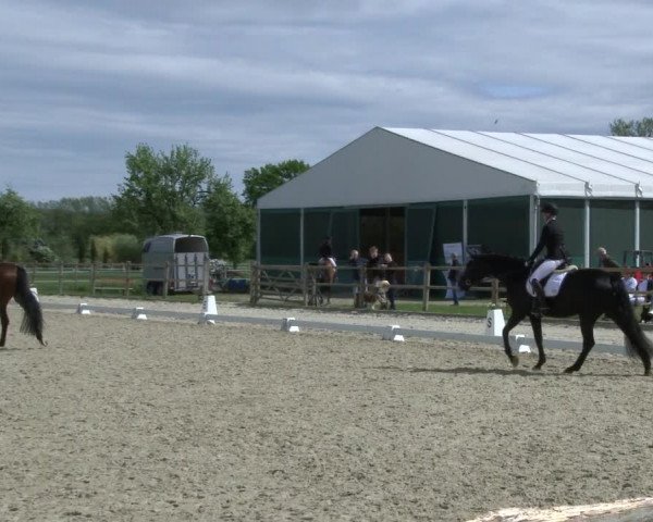 Reitturnier Warendorf, Reitstall am Rothenbach 2019