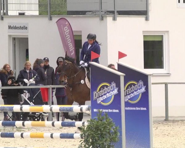 Reitturnier Ingolstadt-Hagau 2019