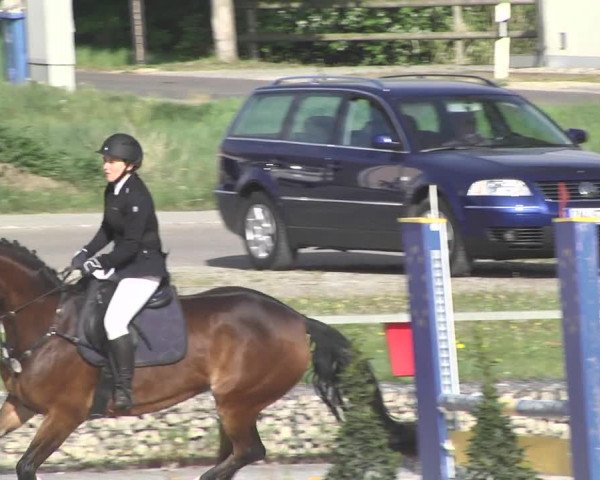 Reitturnier Ingolstadt-Hagau 2019