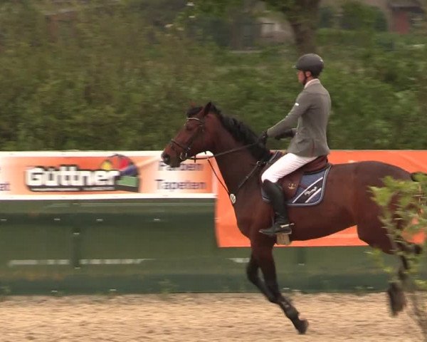 Reitturnier Langwedel - Hagen - Grinden 2019