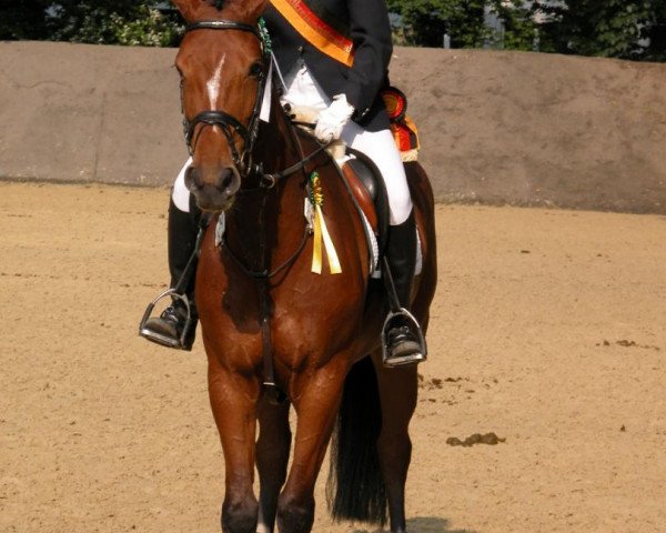broodmare Catinnia (Westphalian, 1996, from Continue)