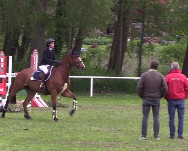 Reitturnier Meldorf 2019