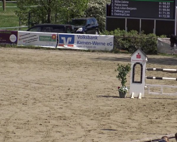 Reitturnier Kamen 2019