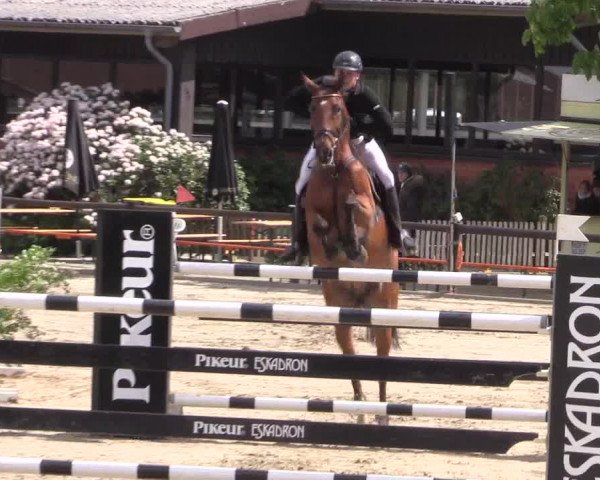 Reitturnier Havixbeck 2019