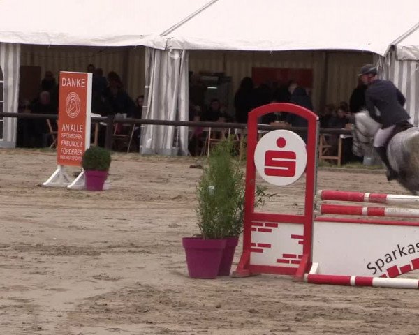 Reitturnier Havixbeck 2019