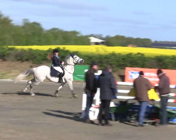 Reitturnier Risum-Lindholm 2019