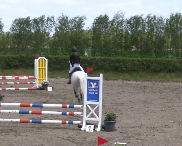 Reitturnier Risum-Lindholm 2019