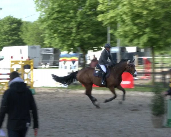 Reitturnier Ahlen 2019