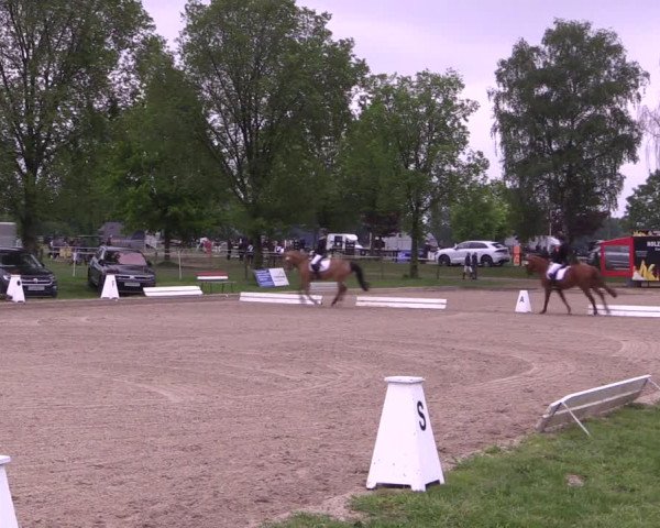 Reitturnier Ahlen 2019