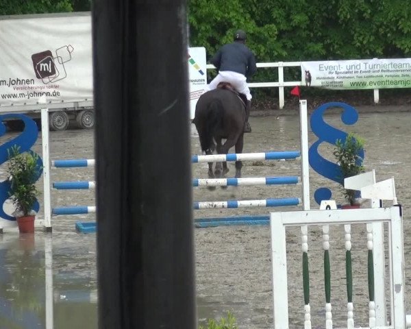Reitturnier Köln-Seeberg 2019