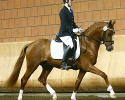 dressage horse Mac Dreamy (German Riding Pony, 2006, from FS Don't Worry)