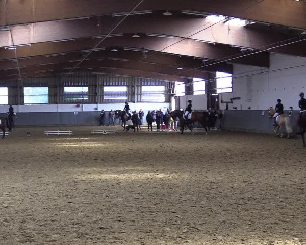 Reitturnier Dortmund-Asseln 2019