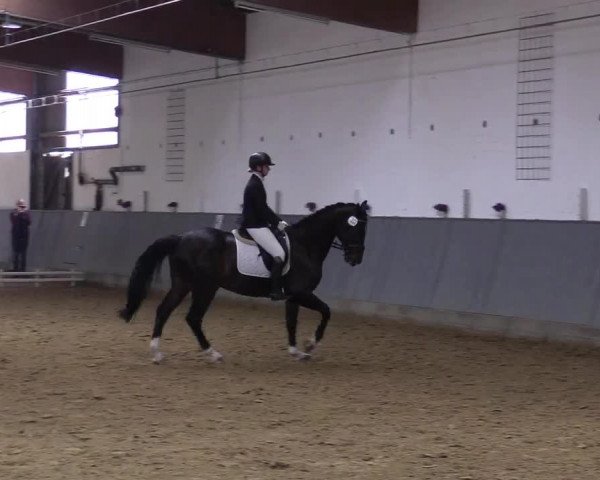 Reitturnier Dortmund-Asseln 2019