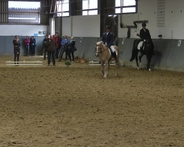 Reitturnier Dortmund-Asseln 2019