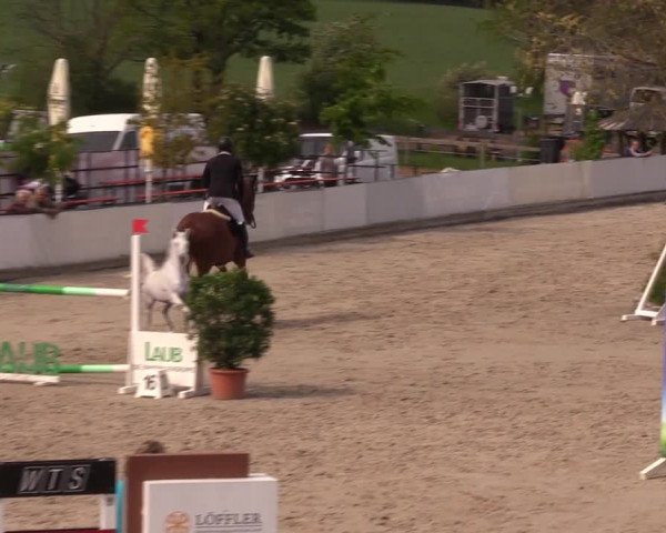 Reitturnier Oberfrauendorf 2019