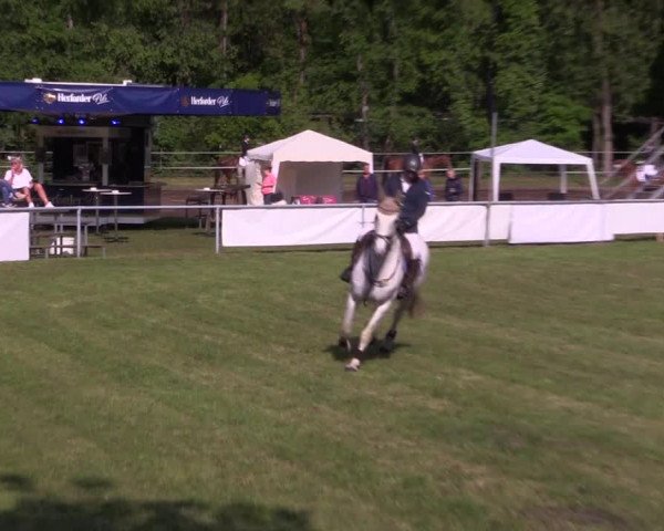 Reitturnier Stukenbrock 2019