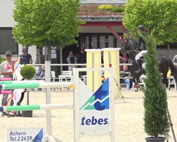 Reitturnier Achern 2019