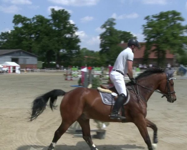 Reitturnier Ostenfelde-Vornholz 2019