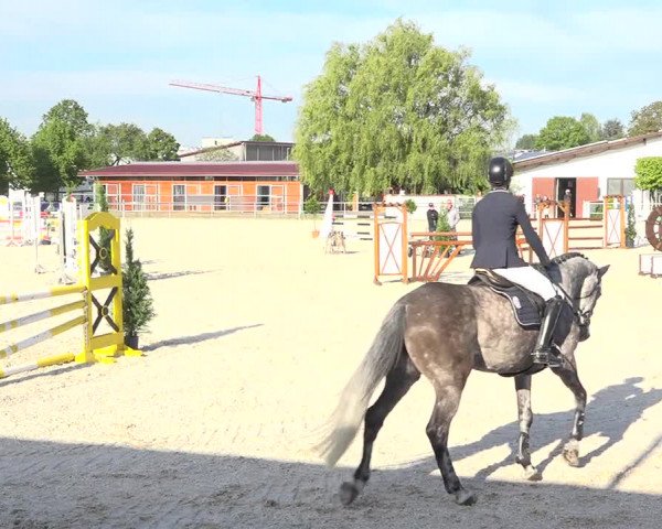 Reitturnier Achern 2019