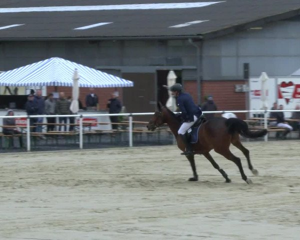 Reitturnier Ostenfelde-Vornholz 2019