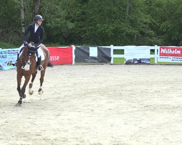 Reitturnier Isny-Rohrdorf 2019