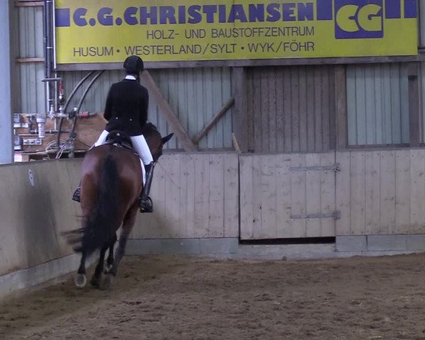 Reitturnier Löwenstedt 2019