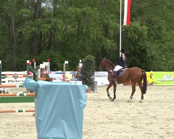 Reitturnier Isny-Rohrdorf 2019