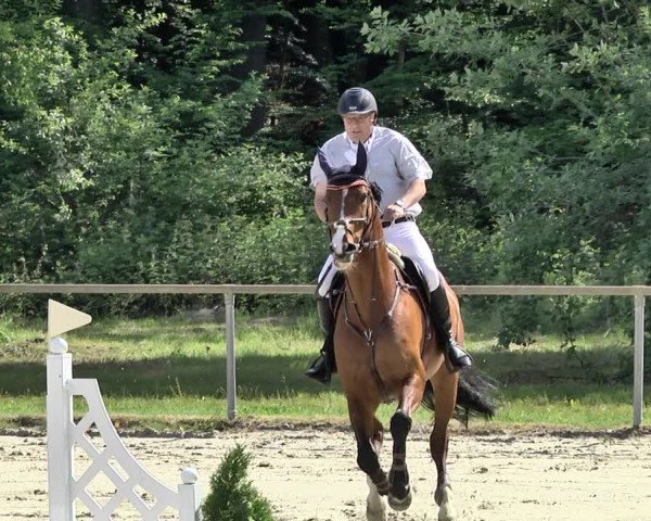 Reitturnier Herxheim 2019