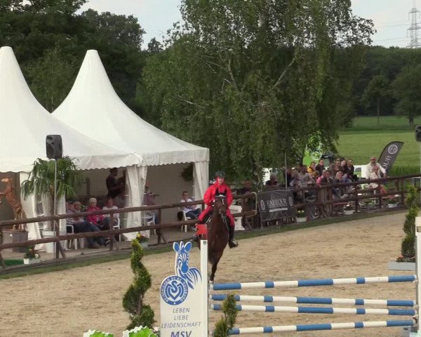 Reitturnier Kirchhellen/Stall Dieckmann 2019