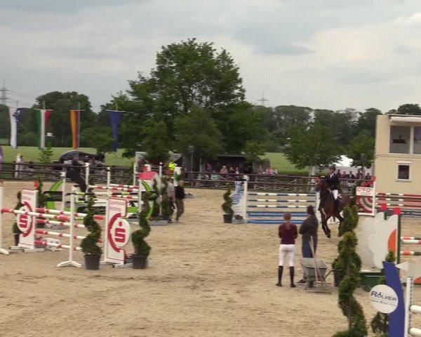 Reitturnier Kirchhellen/Stall Dieckmann 2019
