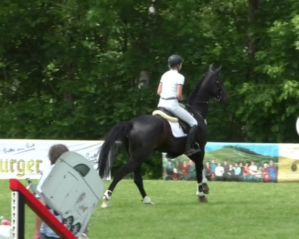 Reitturnier Leingarten 2019
