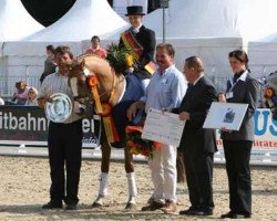 stallion FS Don't Worry Junior (Rhinelander, 2002, from FS Don't Worry)