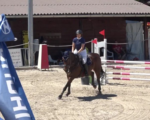 Reitturnier Fehraltorf 2019