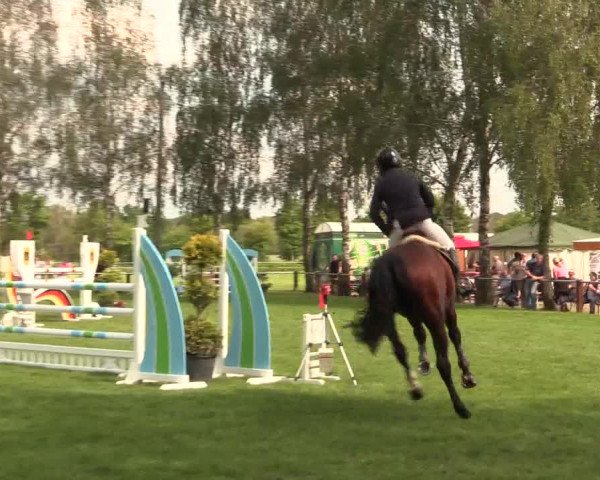 Reitturnier Hille 2019