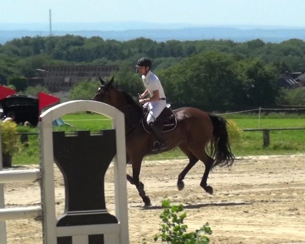 Reitturnier Burscheid-Paffenlöh 2019