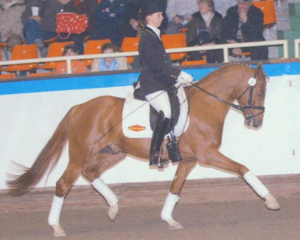 dressage horse Don't Forget (German Riding Pony, 2000, from FS Don't Worry)