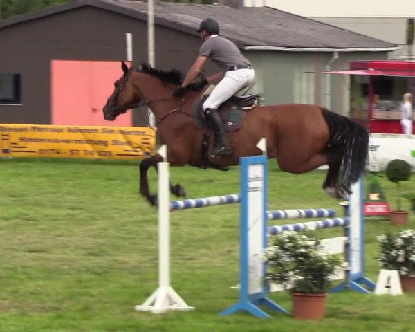 Reitturnier Rendsburg 2019