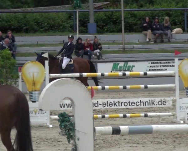Reitturnier Zeiskam 2019