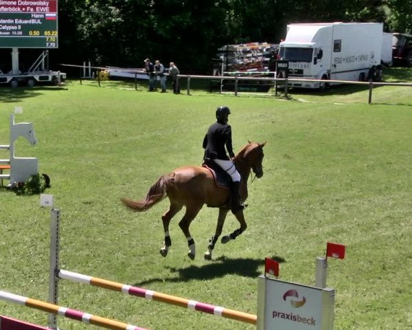Reitturnier Jettingen 2019