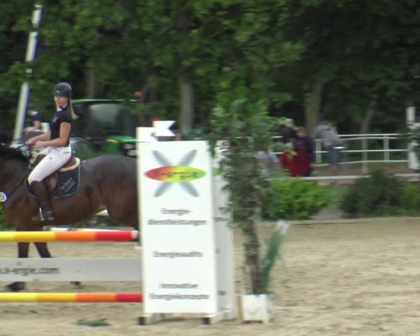 Reitturnier Bochum-Nord 2019