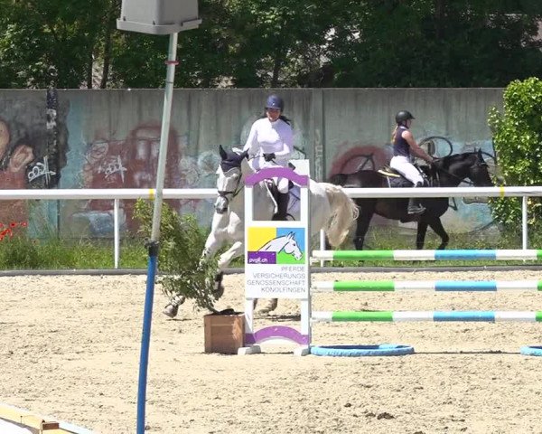 Reitturnier Münsingen 2019